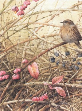 pflaume vögel Ölbilder verkaufen - Natur Winter Vögel